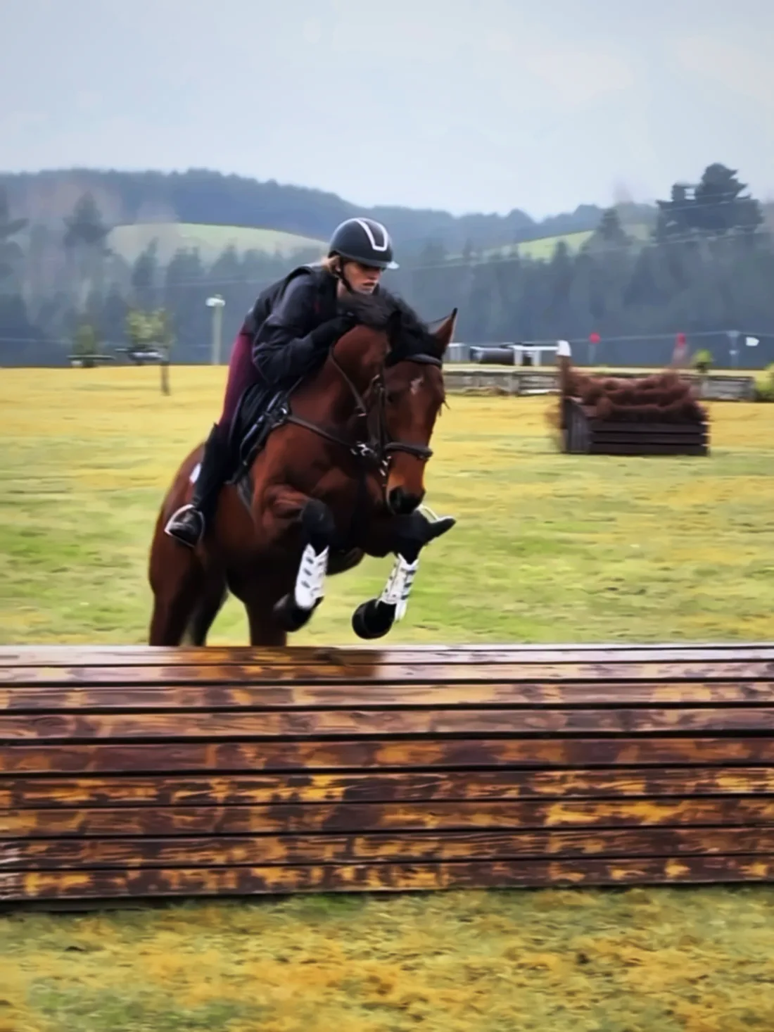 Jess approaching a cross-country log fence