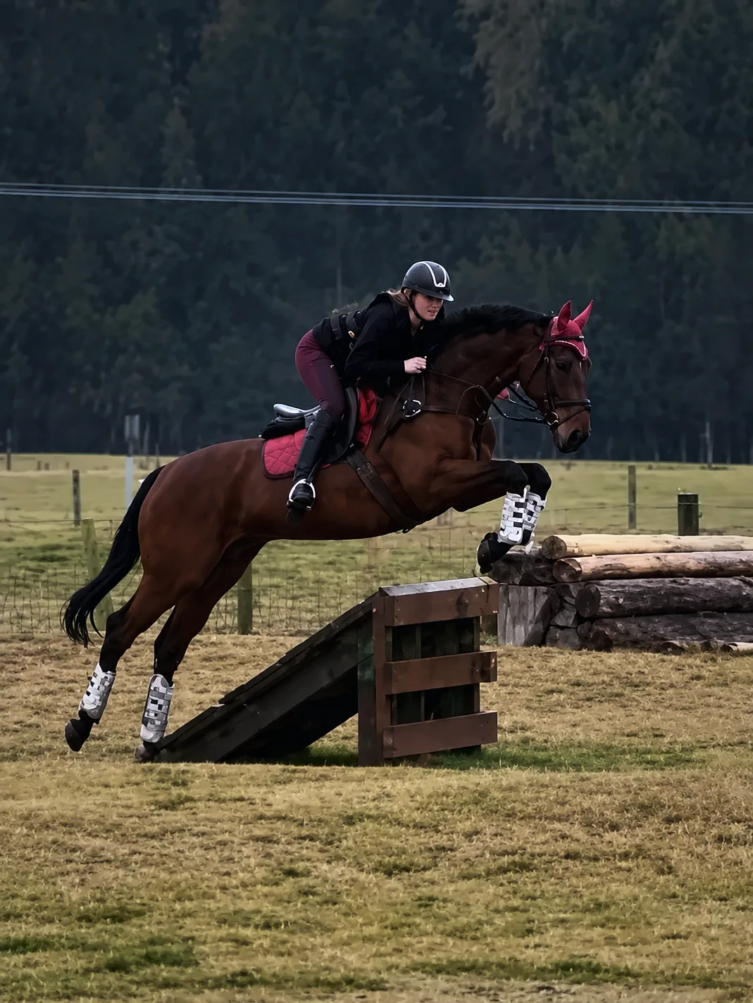 Jess jumping a cross-country brush fence