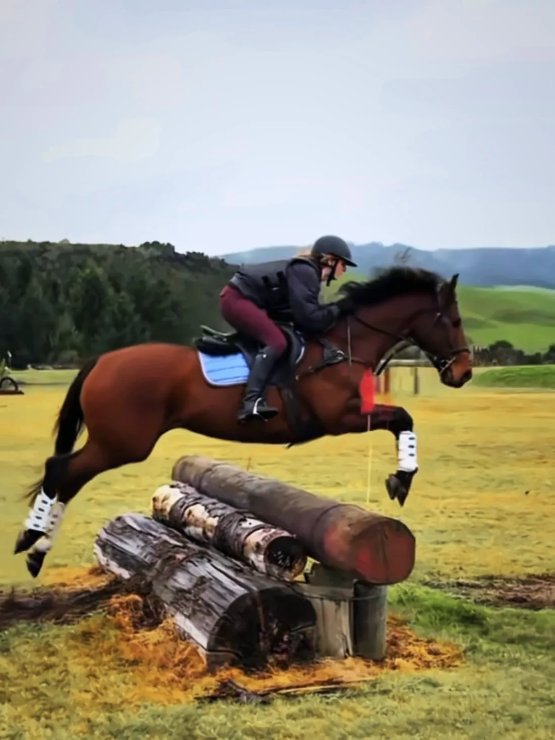 Jess jumping a cross-country log pile